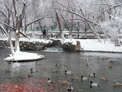 -水磨沟公园