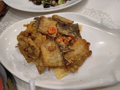 -寻味顺德·南记酒家·传统顺德菜·鱼生(广源路店)