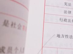 -极致味道动物奶油生日蛋糕(时尚店)