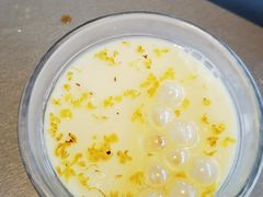 -渔惑·中山脆肉鲩火锅(金湾华发商都店)