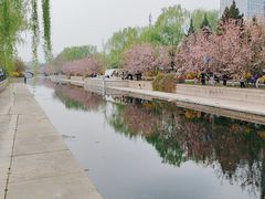 -海棠花溪(元大都城垣遗址公园)