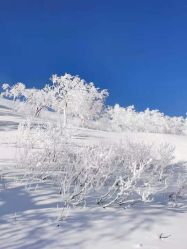 -大秃顶子山