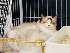 -iF摄影•全家福•证件照•形象照(南山店)