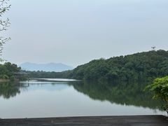 -福建鲤鱼洲酒店