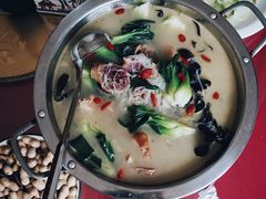 -臭桂鱼儿特色餐厅(朝晖七小区北区店)