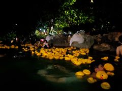 -湖泉半山温泉(湖泉生态园)