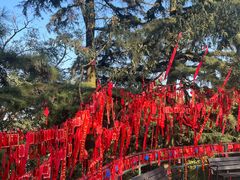 -信号山公园