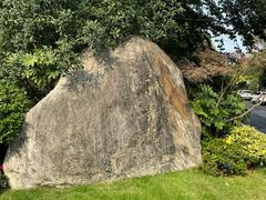 -新荣记(西溪湿地店)