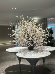 -广州美莱医疗美容医院