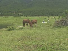 -玉湖村