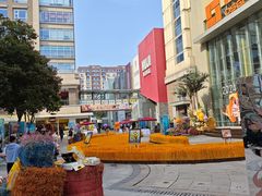 -中粮·祥云小镇