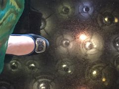 -青岛海尔洲际酒店