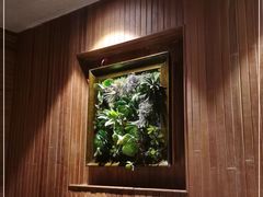 -前海沿·青岛菜(大拇指广场石老人店)