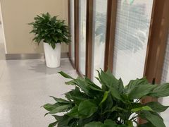 -爱康国宾体检中心(北京航天桥光耀东方分院)