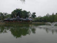 -金花茶公园