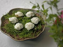 -上蔬无瑕· 创意素食·Vegetarian(华采天地店)
