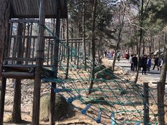 -沂蒙山旅游区云蒙景区(蒙山国家森林公园)