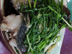 清蒸鲩鱼-雄仔农家菜馆·特色葱油鸡(六祖店)