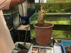 -ZF Seafood Restaurant 卓峰海鲜餐