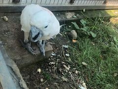 -济南野生动物世界北门停车场