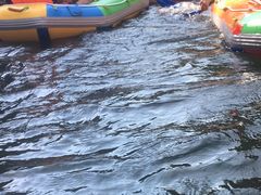 -安吉龙王山峡谷漂流