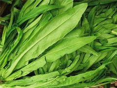 油麦菜-渔小生蒸汽石锅鱼(印象城店)