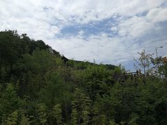 -铁山坪森林公园