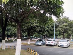 -东莞植物园