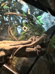 -Zoolung Zoolung动物主题公园(海信广场店)