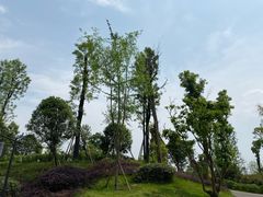 -枫香湖儿童公园