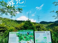 -马峦山郊野公园