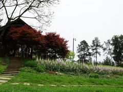 -保利石象湖景区