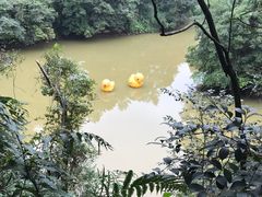 -保利石象湖景区
