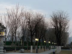 -木塔寺遗址生态公园