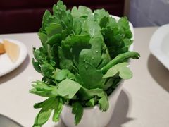 -浩爷羊蝎子火锅(双榆树店)