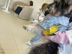 -怪兽屋·羊驼·猫咖·狗咖(俊华广场店)