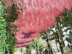 -国色天乡三期陆地乐园