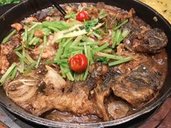 -老板恋上鱼(荣盛广场店)