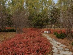 -东郊湿地公园