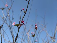 -花开海上生态园