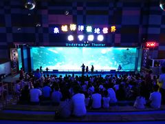 -泉城欧乐堡海洋极地世界