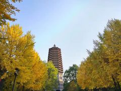 -玲珑塔公园