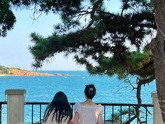-山海菜馆·海肠捞饭·青岛菜(栈桥店)