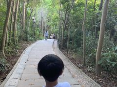 -莲花山公园