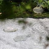 优雅的生活