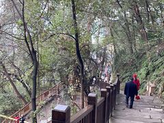 -南山植物园