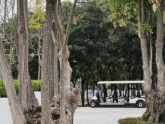 -紫马岭公园