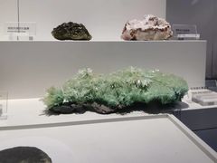 -重庆自然博物馆(新馆)