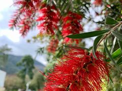 -广州市流溪河国家森林公园