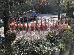 -国生茶庄·地道农家菜团建活动
